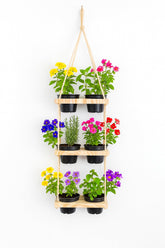 Jardim Vertical para 6 vasos